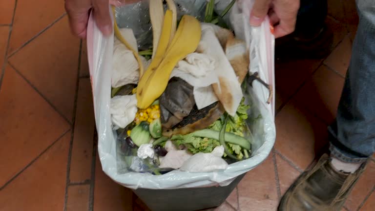 Reliable Breckinridge Center, KY Junk Removal Services Solutions